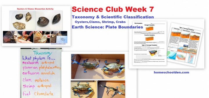 Science Club Week 7