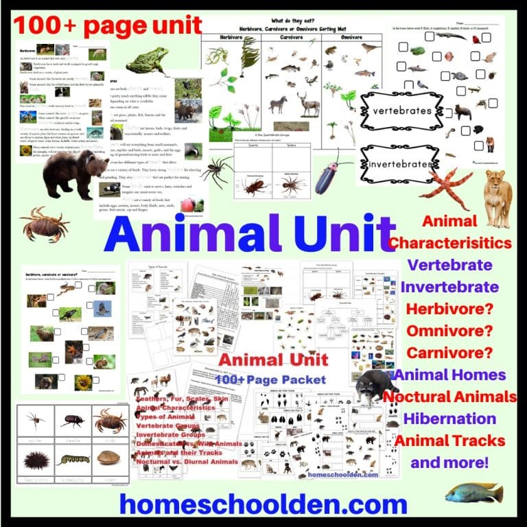 Animal Worksheet Packet - Homeschool Den