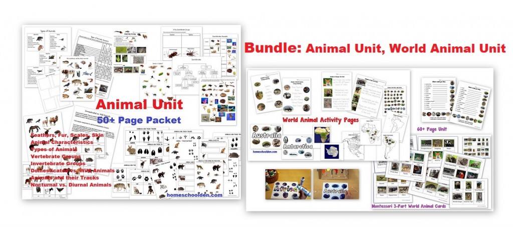 Bundle-Animal Unit World Animal Unit