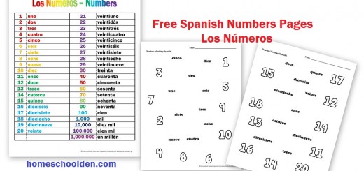 Los Números – Numbers Free Worksheets