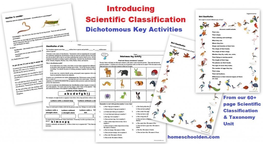 Scientific Classification- Dichotomous Key Activities