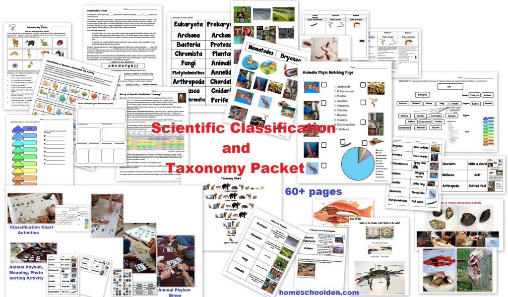 Scientific Classification and Taxonomy Unit - Packet 60+pages