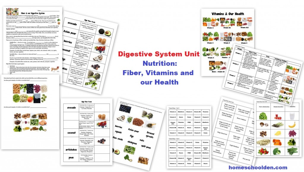 Nutrition Worksheets and Activities - Fiber Vitamins