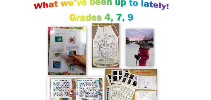 What we've been up to lately - grade 4 7 9