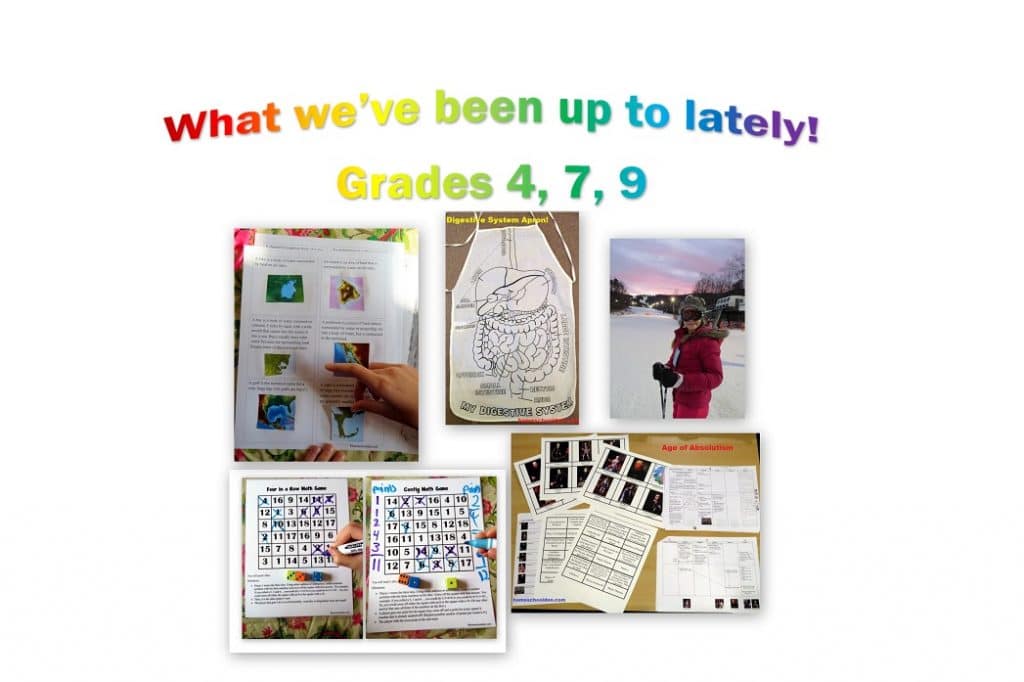 What we've been up to lately - grade 4 7 9