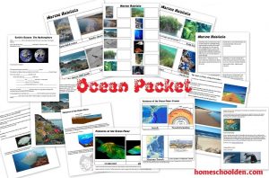 Free Astronomy Worksheets - Middle School - Homeschool Den