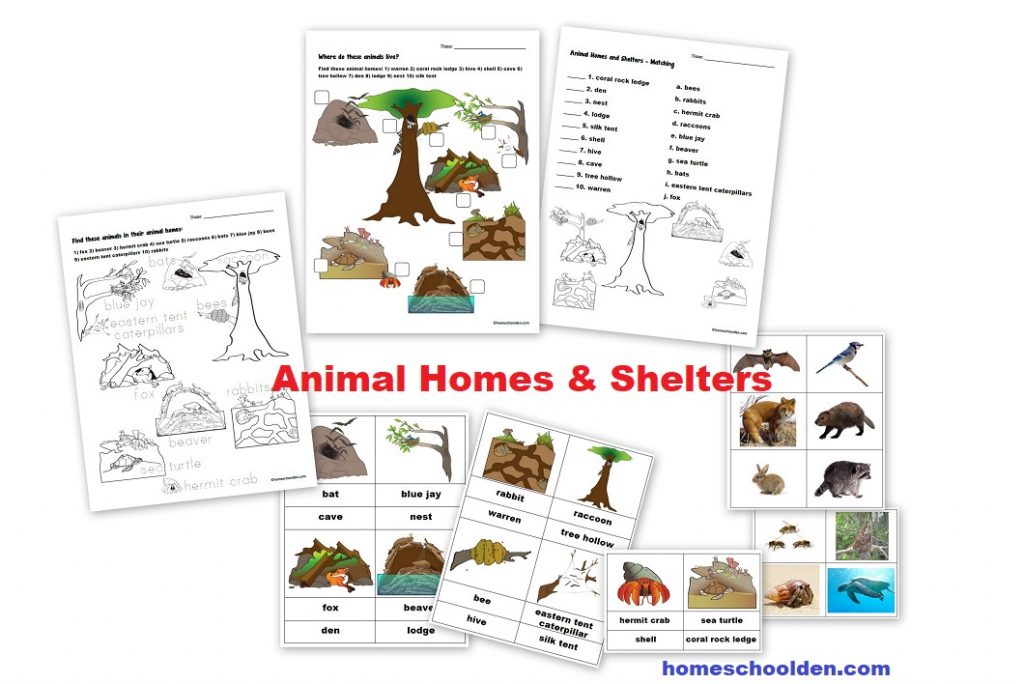 Animal Homes and Shelters - Where do animals live worksheets