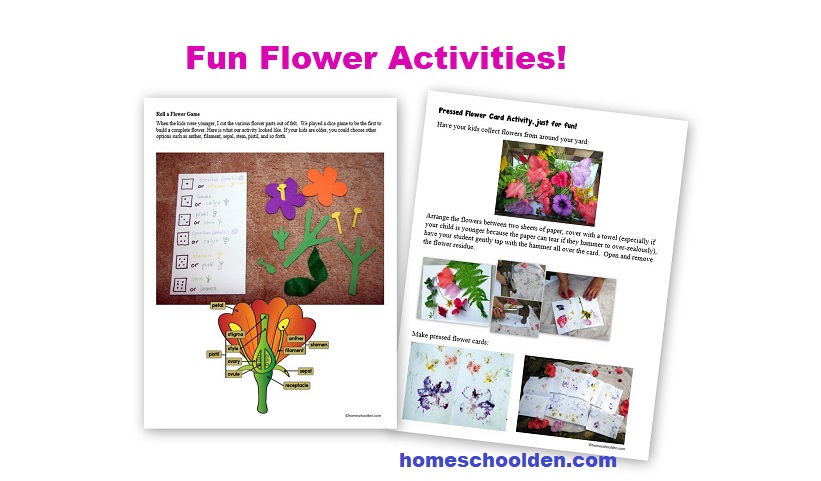Hands-On Activities - Flowers