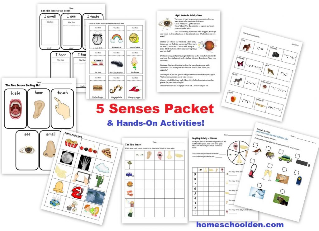 Five Senses Packet and Hands-On Activities