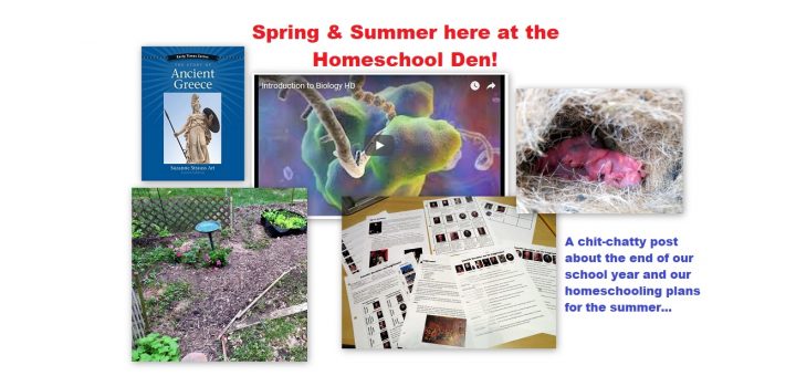 Spring Summer 2018 Homeschool Life