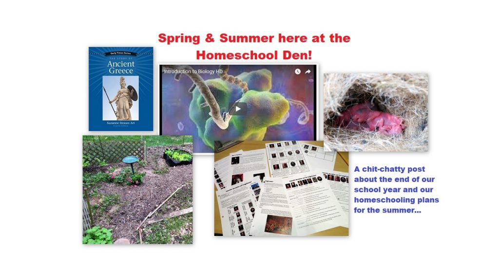 Spring Summer 2018 Homeschool Life