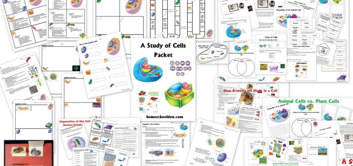 Cell Packet - Cell Unit Homeschool Curriculum