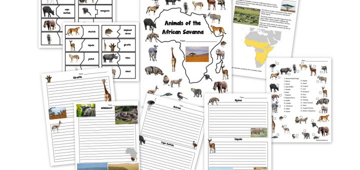 African Animals of the Savanna Worksheets and Notebook Pages