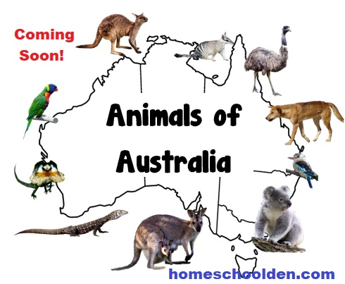 Animals of Australia - World Animals Activities