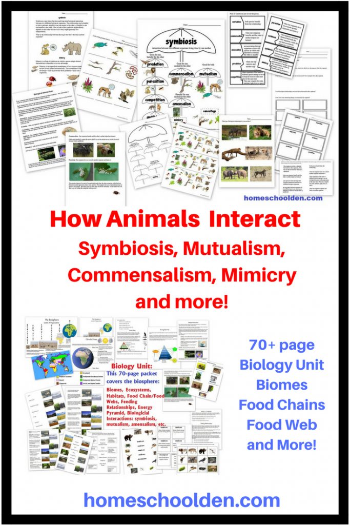 Symbiosis Mutualism Commensalism Mimicry and More - Biology Unit