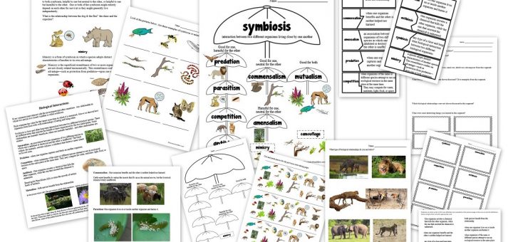 symbiosis commensalism mutualism worksheets and activities