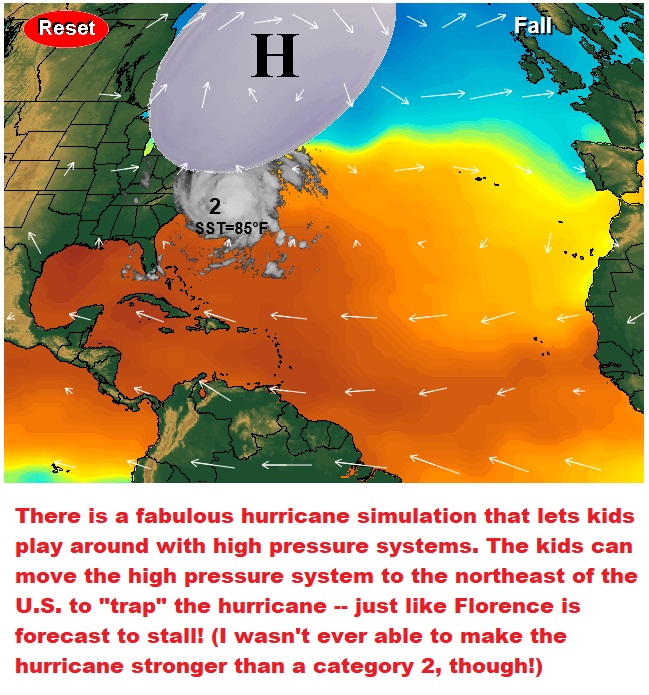 Hurricane Simulation Online Activity