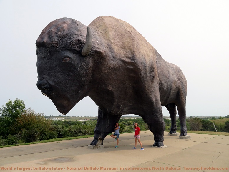 National Buffalo Museum - World's largest buffalo statue