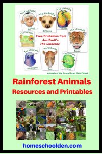 Rainforest Animals Resources and Printables