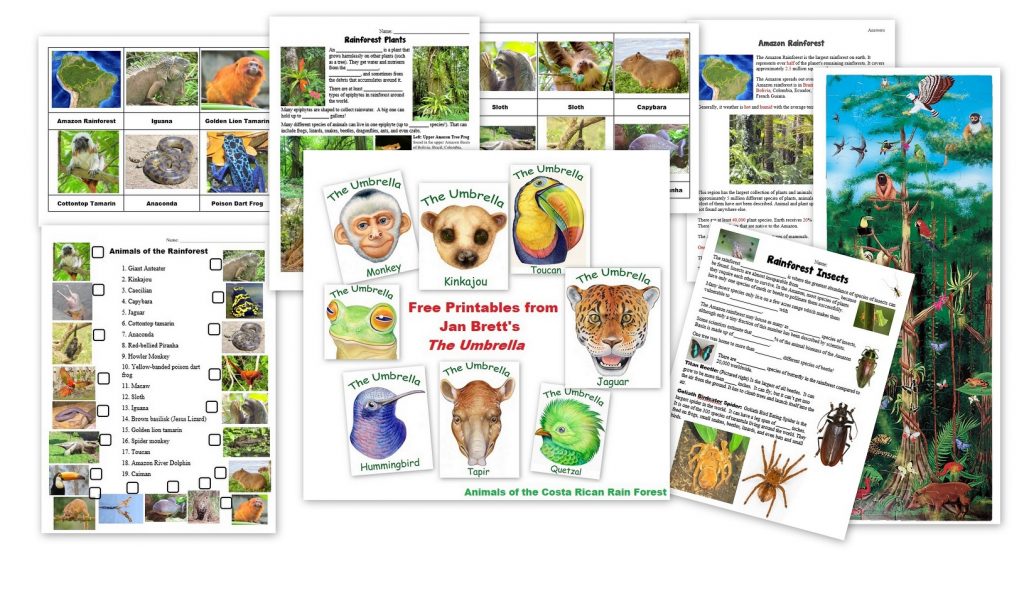 Rainforest Printables and Resources