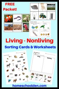 FREE Living - Nonliving Cards and Worksheets