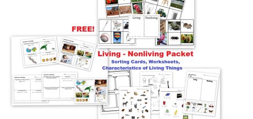 FREE - Living Nonliving Unit - Cards Worksheets Notebook Pages
