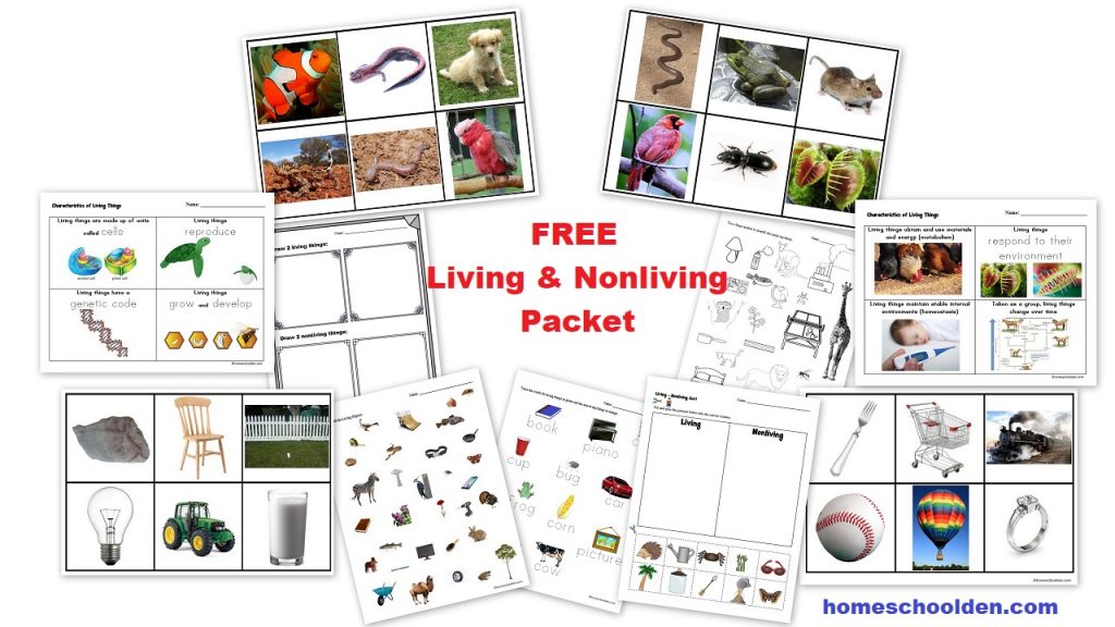 Free Living and Nonliving Cards Worksheets and Activities