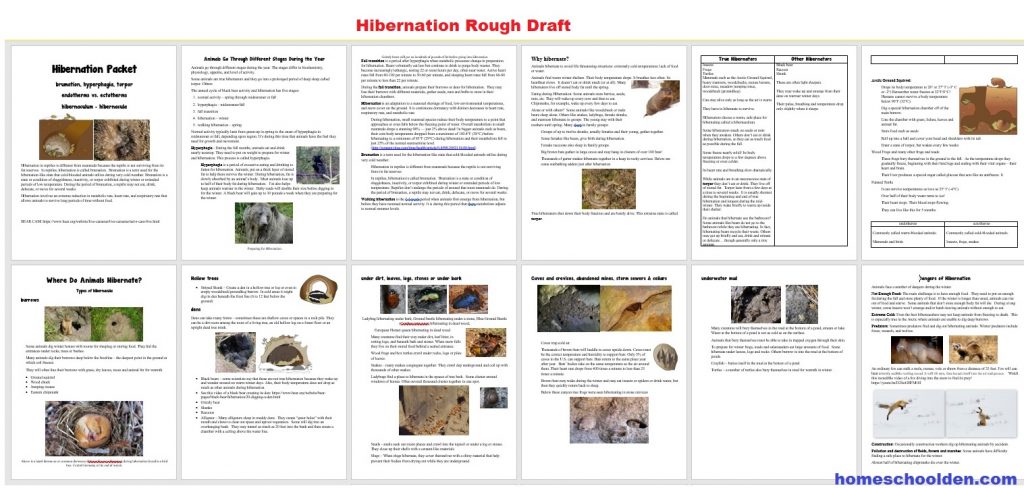 Hibernation Rough Draft