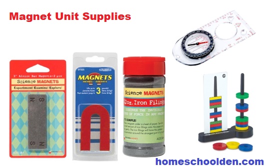 Magnet Unit Supplies - Bar Magnet Horseshoe Magnet Iron Filings Compass Donut Magnets