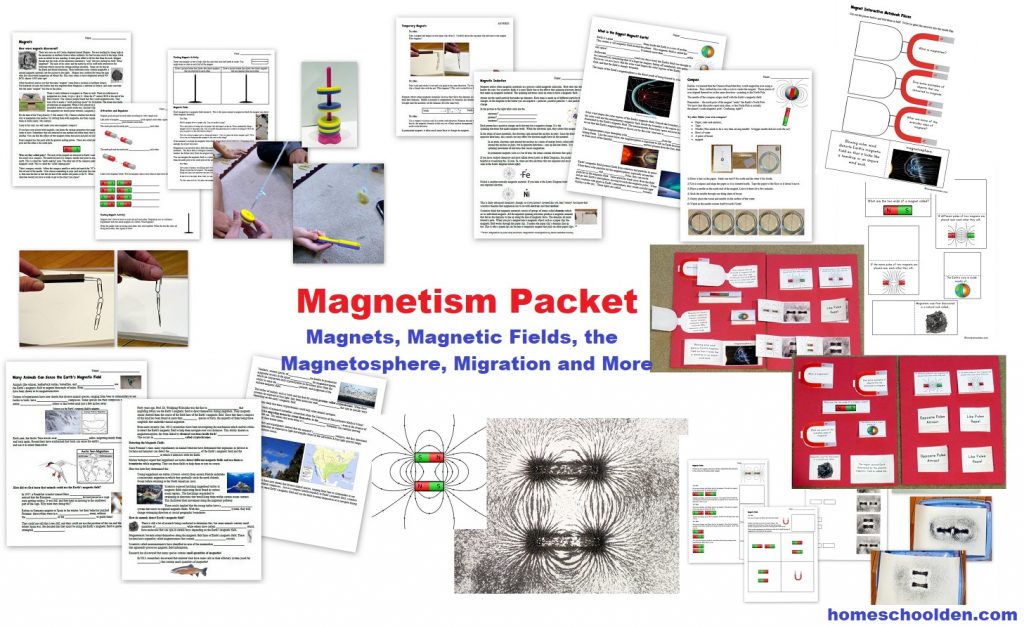 Magnetism Unit - Magnets Magnetic Fields Magnetosphere Migration