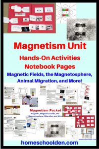 Magnetism Unit - Magnets Magnetic Fields Magnetosphere Migration and more