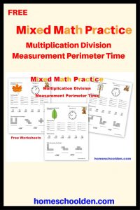 Mixed Math Practice - Multiplication Division Measurement Perimeter Time
