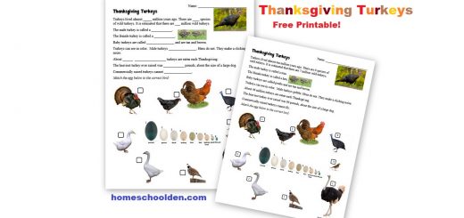 Thanksgiving Turkeys - Free Printable