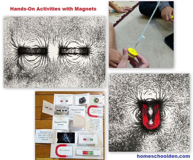 Hands-On Activities with Magnets