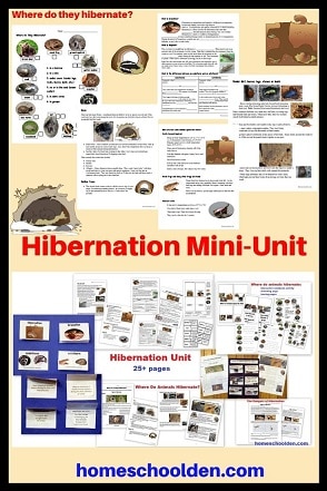 Hibernation Mini-Unit
