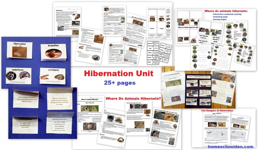 Hibernation Unit for Kids