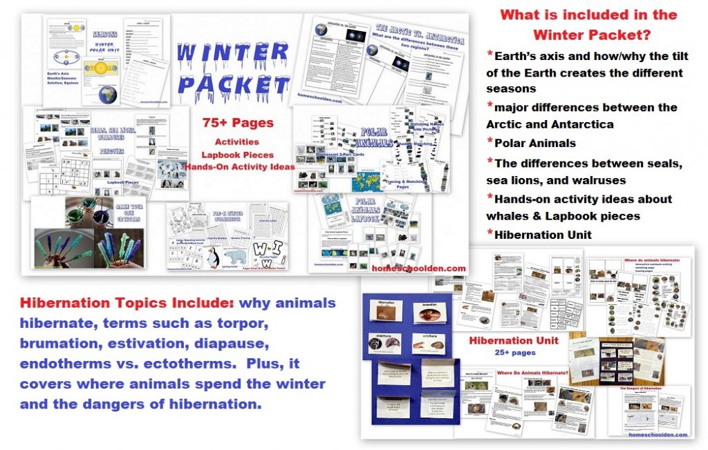 Winter Packet - Earth's Axis, Seasons, Arctic Antarctica, Polar Animals Hibernation and more