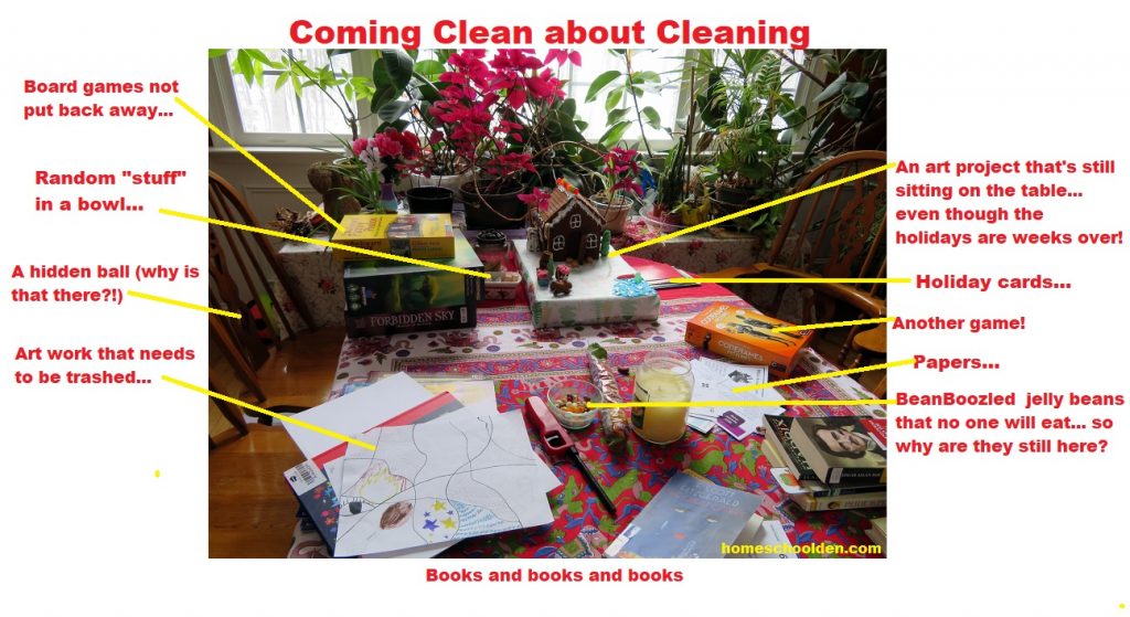 Coming Clean about Cleaning - Homeschool Life