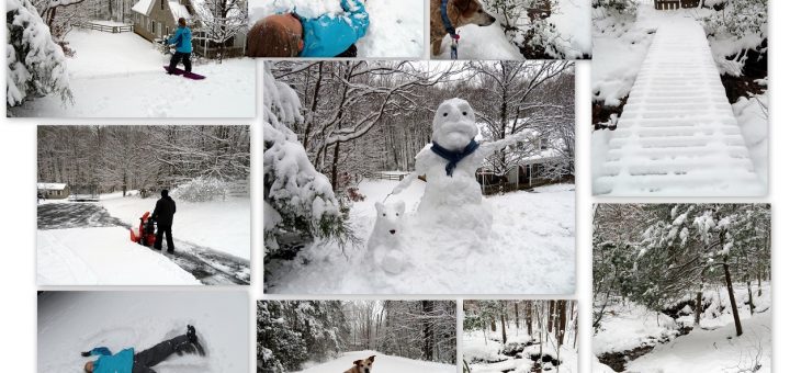 Snow Much Fun - Jan 2019 Snowfall!
