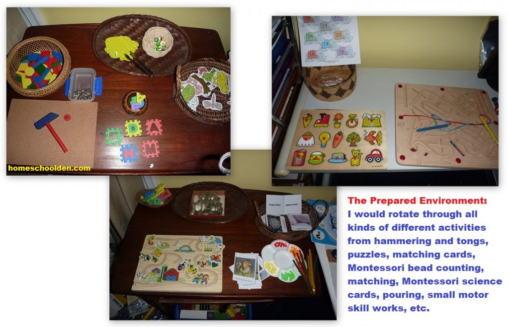 The Prepared Environoment with Lots of PreK Activities