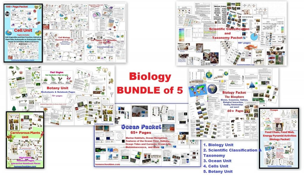 Biology Bundle of 5