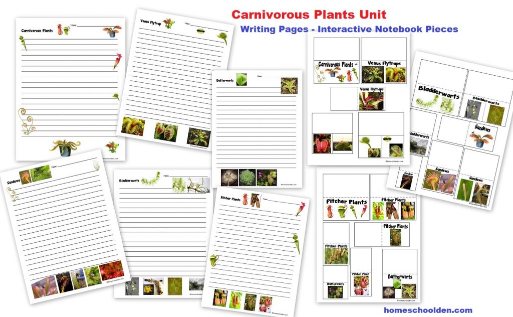 Carnivorous Plants Unit - Writing Pages - Interactive Notebook Pieces