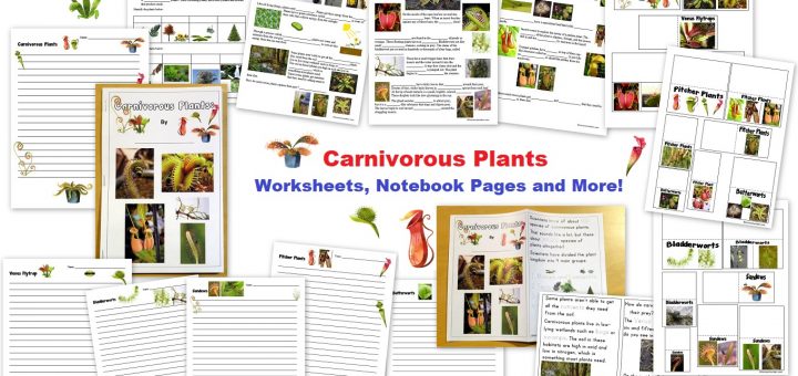 Carnivorous Plants Worksheets Notebook Pages Lapbook and More!
