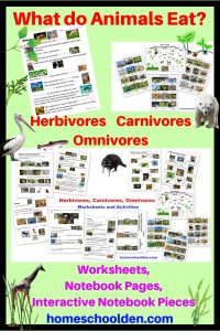 Herbivore, Carnivore and Omnivore Worksheets and Activities - Homeschool Den