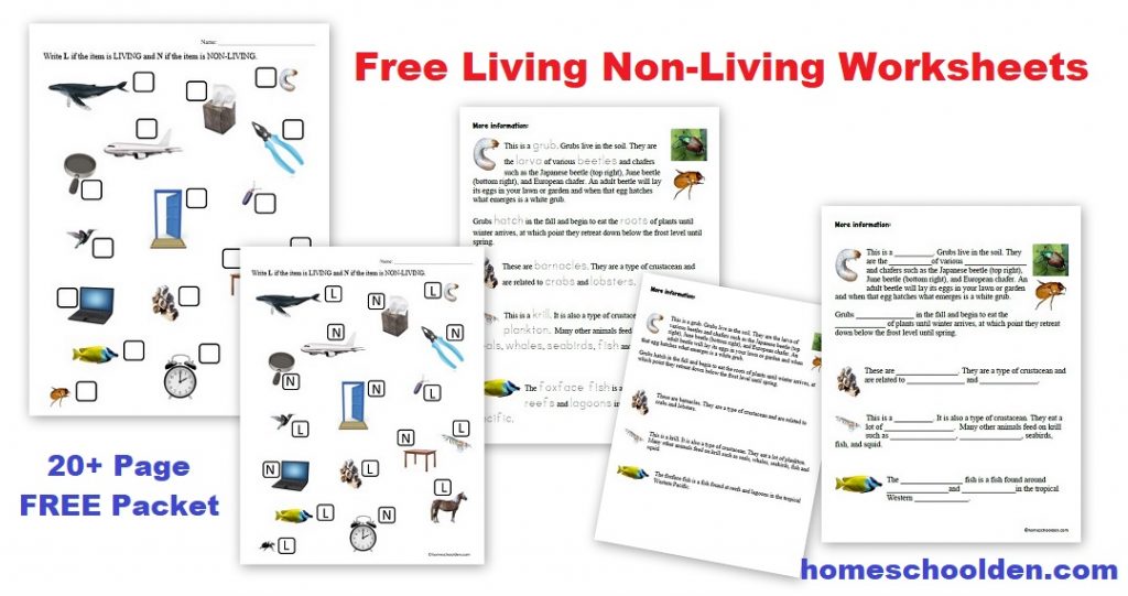Living Non-Living Worksheets - FREE Printable