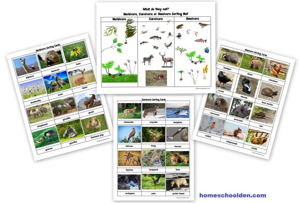 Herbivore, Carnivore and Omnivore Worksheets and Activities - Homeschool Den
