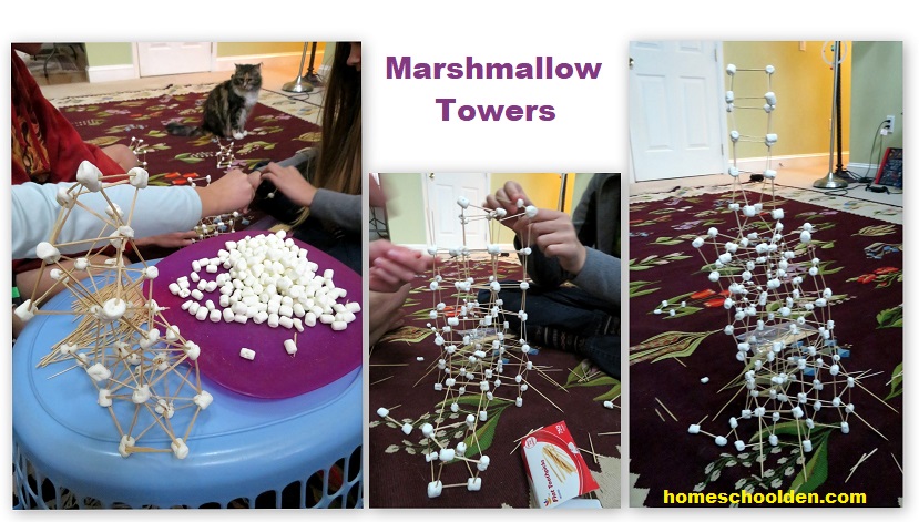 Marshmallow Tower Challenge