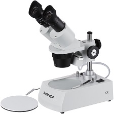 Microscope for Homeschoolers