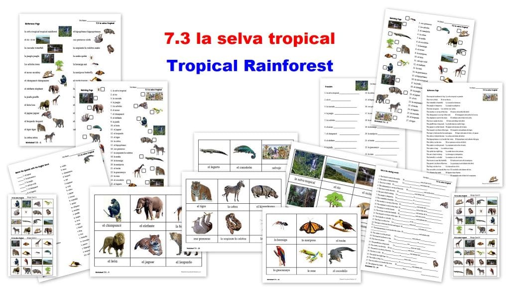 7.3 la selva tropical Spanish Worksheets - tropical rainforest