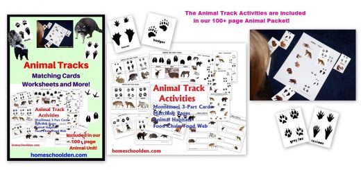 Science: Animal Characteristics Archives - Homeschool Den